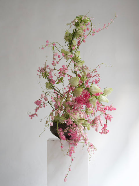 𝘽𝙚𝙖𝙪𝙩𝙮 𝙄𝙣 𝘾𝙝𝙖𝙤𝙨 冬季美感養成課