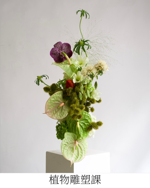 𝘽𝙚𝙖𝙪𝙩𝙮 𝙄𝙣 𝘾𝙝𝙖𝙤𝙨 冬季美感養成課