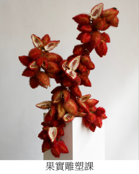 𝘽𝙚𝙖𝙪𝙩𝙮 𝙄𝙣 𝘾𝙝𝙖𝙤𝙨 冬季美感養成課