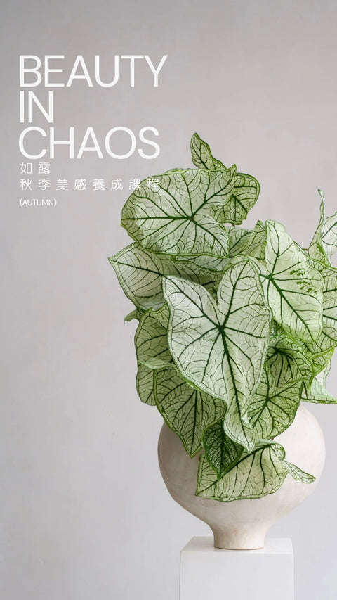 秋季美感養成長期班